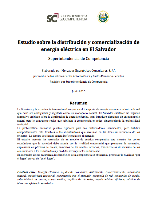Estudio de Competencia en el Mercado Mayorista de Energía Eléctrica. Evaluación del Poder de Mercado  Leer